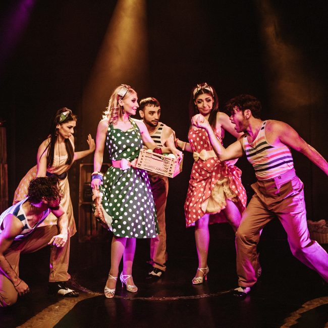 Havana spectacle cabaret nakité productions