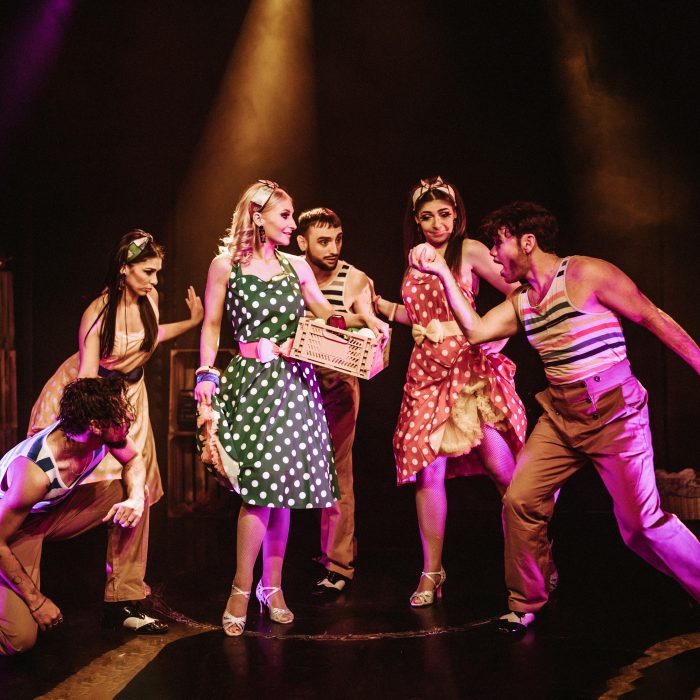 Havana spectacle cabaret nakité productions